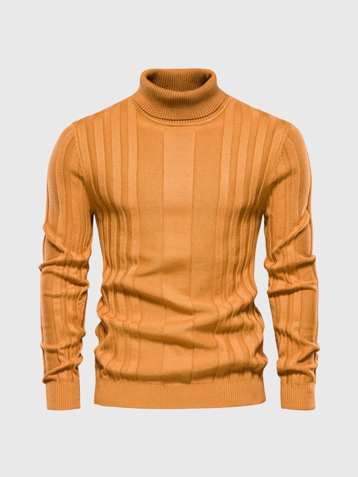 Klassischer Rollkragenpullover mit Streifen